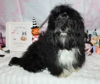 processed/a33199eb-3558-4b31-8a8e-8db808006e47/listing/4627c9e9-e1cd-41cd-8416-100404600fe3/215510fc-42d3-4801-862d-668b982b6c20