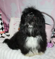 processed/a33199eb-3558-4b31-8a8e-8db808006e47/listing/4627c9e9-e1cd-41cd-8416-100404600fe3/3e5fc66c-99c1-4f9f-8697-31a5429d95b1