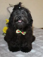 processed/a33199eb-3558-4b31-8a8e-8db808006e47/listing/4627c9e9-e1cd-41cd-8416-100404600fe3/43dbca98-742f-4960-aede-3ce92ea4bb5b