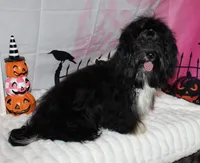 processed/a33199eb-3558-4b31-8a8e-8db808006e47/listing/4627c9e9-e1cd-41cd-8416-100404600fe3/56703d10-d6b9-403d-b3cf-0b49dce9d029