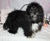 processed/a33199eb-3558-4b31-8a8e-8db808006e47/listing/4627c9e9-e1cd-41cd-8416-100404600fe3/81b2f20d-f4ee-4ff6-ad4e-5b1986f0b355