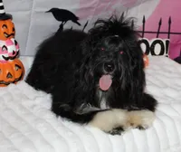 processed/a33199eb-3558-4b31-8a8e-8db808006e47/listing/4627c9e9-e1cd-41cd-8416-100404600fe3/9c3fa177-ac47-486b-882e-d6b002190d3c