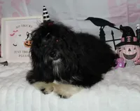 processed/a33199eb-3558-4b31-8a8e-8db808006e47/listing/4627c9e9-e1cd-41cd-8416-100404600fe3/afc5c027-1e70-4e0f-9735-2784157ac6c8