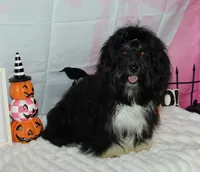 processed/a33199eb-3558-4b31-8a8e-8db808006e47/listing/4627c9e9-e1cd-41cd-8416-100404600fe3/e1cf3456-6c10-45af-9bb6-6269ad86d919