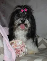 processed/a33199eb-3558-4b31-8a8e-8db808006e47/listing/4627c9e9-e1cd-41cd-8416-100404600fe3/f657e109-a28b-4a9d-9b36-d505f17efbd5