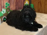 processed/a33199eb-3558-4b31-8a8e-8db808006e47/listing/ab5c0d56-708d-4566-96ce-5b7a6410b4b5/168b3f1e-5004-4bbb-be53-77edf5994d99