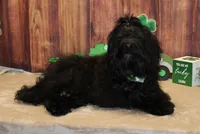 processed/a33199eb-3558-4b31-8a8e-8db808006e47/listing/ab5c0d56-708d-4566-96ce-5b7a6410b4b5/26fcd972-b5ea-4e4a-b503-5a1ca6ecc659