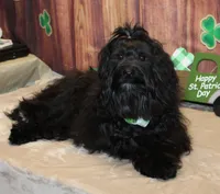 processed/a33199eb-3558-4b31-8a8e-8db808006e47/listing/ab5c0d56-708d-4566-96ce-5b7a6410b4b5/551de76c-de5a-4090-b497-0460f414ecc5