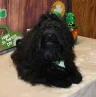 processed/a33199eb-3558-4b31-8a8e-8db808006e47/listing/ab5c0d56-708d-4566-96ce-5b7a6410b4b5/a9a3b3af-1b2c-455c-b9d7-151928fe2373