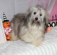 processed/a33199eb-3558-4b31-8a8e-8db808006e47/listing/baab1535-61ee-4f96-b1e4-0aadf997e76c/4f5fc116-ec1d-45d1-8174-3c661466278b