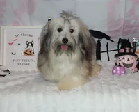 processed/a33199eb-3558-4b31-8a8e-8db808006e47/listing/baab1535-61ee-4f96-b1e4-0aadf997e76c/60d6c7f0-cb05-446a-846f-a51fdee1a3e8