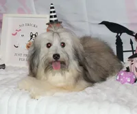 processed/a33199eb-3558-4b31-8a8e-8db808006e47/listing/baab1535-61ee-4f96-b1e4-0aadf997e76c/69147ca2-fc49-4f60-9959-8fbe6f54230f