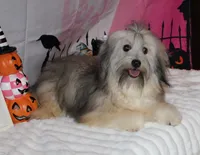 processed/a33199eb-3558-4b31-8a8e-8db808006e47/listing/baab1535-61ee-4f96-b1e4-0aadf997e76c/a18a1fd0-af38-4dda-88e3-0aa82959b011