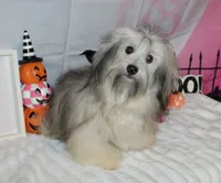 processed/a33199eb-3558-4b31-8a8e-8db808006e47/listing/baab1535-61ee-4f96-b1e4-0aadf997e76c/c643b9d6-6868-477f-961c-5b89e17df4d1