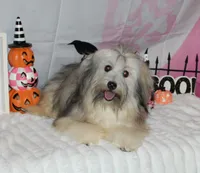 processed/a33199eb-3558-4b31-8a8e-8db808006e47/listing/baab1535-61ee-4f96-b1e4-0aadf997e76c/c8cbd85a-b851-440b-9282-099c5ca23549