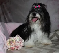 processed/a33199eb-3558-4b31-8a8e-8db808006e47/listing/d4a2de50-6d61-4ac7-b4d0-a7b93cbffb9c/0a186446-04dc-4825-8a0a-b4e041510382