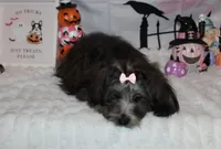 processed/a33199eb-3558-4b31-8a8e-8db808006e47/listing/d4a2de50-6d61-4ac7-b4d0-a7b93cbffb9c/1535c3d7-e456-4218-b68a-70fc8f87fcfe