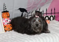 processed/a33199eb-3558-4b31-8a8e-8db808006e47/listing/d4a2de50-6d61-4ac7-b4d0-a7b93cbffb9c/4534d8dd-0a8b-4206-a586-2c9a51a6d739