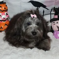 processed/a33199eb-3558-4b31-8a8e-8db808006e47/listing/d4a2de50-6d61-4ac7-b4d0-a7b93cbffb9c/456052a0-3f07-441c-961f-1b558457fe40