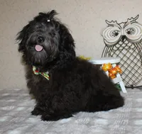 processed/a33199eb-3558-4b31-8a8e-8db808006e47/listing/d4a2de50-6d61-4ac7-b4d0-a7b93cbffb9c/46cc4f54-a061-40aa-9aed-b6d65f2257b0