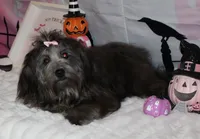 processed/a33199eb-3558-4b31-8a8e-8db808006e47/listing/d4a2de50-6d61-4ac7-b4d0-a7b93cbffb9c/abb4f676-8fba-49cf-8649-749126cdebcf