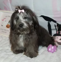 processed/a33199eb-3558-4b31-8a8e-8db808006e47/listing/d4a2de50-6d61-4ac7-b4d0-a7b93cbffb9c/bc3dd3fb-5bd2-462e-997d-daf1883480c1