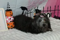 processed/a33199eb-3558-4b31-8a8e-8db808006e47/listing/d4a2de50-6d61-4ac7-b4d0-a7b93cbffb9c/ce125fb6-4f1b-4b0d-8302-f903725ae720