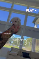 CHINA, a female Poodle - Toy  for sale in Cypress, TX – Photo 6 of 6