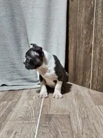 processed/a3381363-b567-468a-bcd8-4cff8594fd4b/listing/28f797a3-9d6c-4825-aea9-d098733bcd05/1b27b29f-5461-4685-bb0b-6f072098b1b3