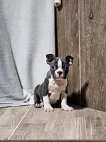 processed/a3381363-b567-468a-bcd8-4cff8594fd4b/listing/28f797a3-9d6c-4825-aea9-d098733bcd05/8900a52d-a614-465b-bdc5-d3141bf7d10d