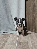 processed/a3381363-b567-468a-bcd8-4cff8594fd4b/listing/28f797a3-9d6c-4825-aea9-d098733bcd05/8c54bb56-9c88-4c63-a91a-2b01c2eb868f