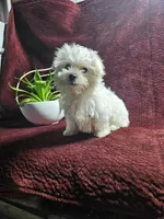 processed/a3381363-b567-468a-bcd8-4cff8594fd4b/listing/588aba14-d011-4265-8e80-782dea95073a/2c179238-ace7-4b2b-9035-02cdc7369d0f