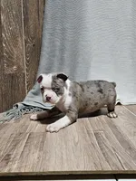 processed/a3381363-b567-468a-bcd8-4cff8594fd4b/listing/5b55f4d8-9051-471c-9ac0-b01e0ad226c0/1b5d39c6-a14e-498f-81d3-827b84b4dae4