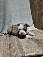 processed/a3381363-b567-468a-bcd8-4cff8594fd4b/listing/5b55f4d8-9051-471c-9ac0-b01e0ad226c0/239894d6-1af7-4b61-867d-d021c64dbe92