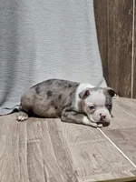 processed/a3381363-b567-468a-bcd8-4cff8594fd4b/listing/5b55f4d8-9051-471c-9ac0-b01e0ad226c0/b21d30c8-703f-4fa8-8007-a43b073197b6