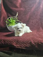 processed/a3381363-b567-468a-bcd8-4cff8594fd4b/listing/99375e73-b035-4eb8-b755-a91808718d3e/a4b9f9e4-8baa-4771-b4e8-e4fb60d3e109