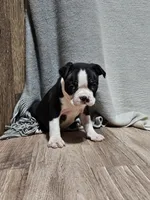 processed/a3381363-b567-468a-bcd8-4cff8594fd4b/listing/b438b9b2-b39b-440f-a158-7e0140ed677d/16b95acc-a04f-43c9-a184-c1a3299d15f8