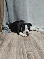 processed/a3381363-b567-468a-bcd8-4cff8594fd4b/listing/b438b9b2-b39b-440f-a158-7e0140ed677d/ac1dfa1d-0156-47b8-8ea8-d5012a049bde