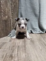 processed/a3381363-b567-468a-bcd8-4cff8594fd4b/listing/e053f79f-b985-4508-a902-4fd9bcd4527d/9d689189-e55e-4143-8d5f-006059690839