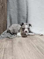 processed/a3381363-b567-468a-bcd8-4cff8594fd4b/listing/e053f79f-b985-4508-a902-4fd9bcd4527d/b0c7a192-0a43-4d45-a98c-10bedf860246