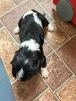 processed/a33902df-3c7f-4606-9091-acad15e33a6e/listing/889ffabc-aefa-456c-86cd-34d5b9f9c830/528e9a40-e981-4d64-b777-a3a53686e0b2