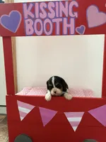 processed/a33902df-3c7f-4606-9091-acad15e33a6e/listing/889ffabc-aefa-456c-86cd-34d5b9f9c830/908bea3a-4650-4d4e-ac29-f76866bee795