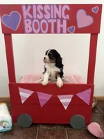 processed/a33902df-3c7f-4606-9091-acad15e33a6e/listing/889ffabc-aefa-456c-86cd-34d5b9f9c830/ee0dc674-1760-411b-a64d-127a6174a1aa