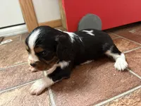 processed/a33902df-3c7f-4606-9091-acad15e33a6e/listing/90bbae09-b97e-48e5-bb14-50d9a88585f7/3d1bab1e-a64e-4ac4-9e95-d79b04dc1410