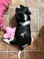 processed/a33902df-3c7f-4606-9091-acad15e33a6e/listing/90bbae09-b97e-48e5-bb14-50d9a88585f7/4adb7655-64c6-4cf0-8636-5222e57188be