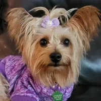 processed/a341247d-d4e3-4bef-afae-65e5b4307e05/facility/19150596-3520-4431-af77-1d75557ef5a9