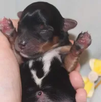 processed/a341247d-d4e3-4bef-afae-65e5b4307e05/facility/244cf5e0-11d0-4044-bbd4-0ade31a64a29