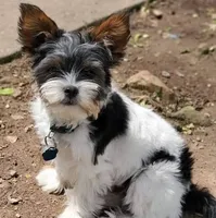 processed/a341247d-d4e3-4bef-afae-65e5b4307e05/facility/75a46d43-2acf-43ea-b7b9-5d66e1f17ad5