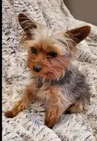 processed/a341247d-d4e3-4bef-afae-65e5b4307e05/facility/84ea33f0-bbf7-4ff1-8a09-fe346f83208c