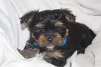 processed/a341247d-d4e3-4bef-afae-65e5b4307e05/facility/877efd3a-b345-4ce5-93b1-c44ce3f653dd